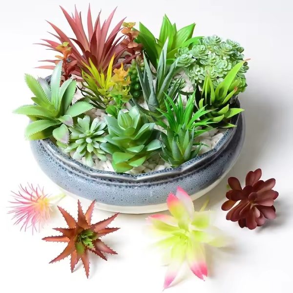 Succulent DIY Creative Bonsai – Craft Your Tiny Garden of Calm