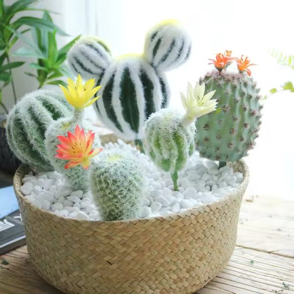 Ball Cactus in Pot – A Perfect Sphere of Desert Charm