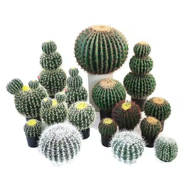 Ball Cactus in Pot – A Perfect Sphere of Desert Charm